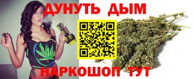 шишки Будённовск