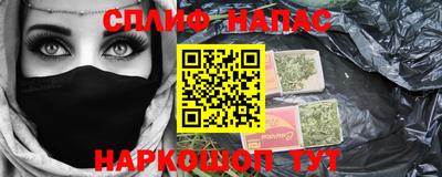 шишки Будённовск